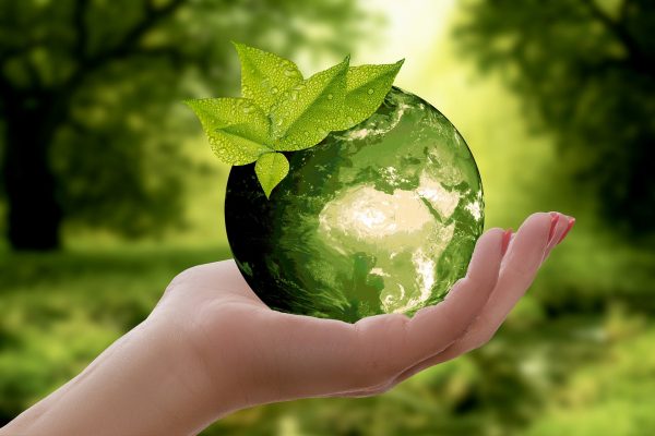 Ecologie et les arguments du Greenwashing